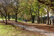 Images for Green Park, Bath